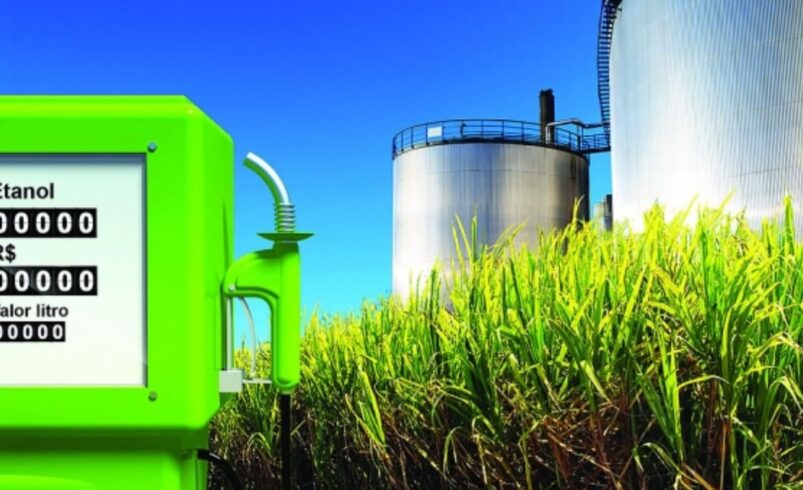 Biocombustíveis: Alternativa Sustentável e seus Obstáculos