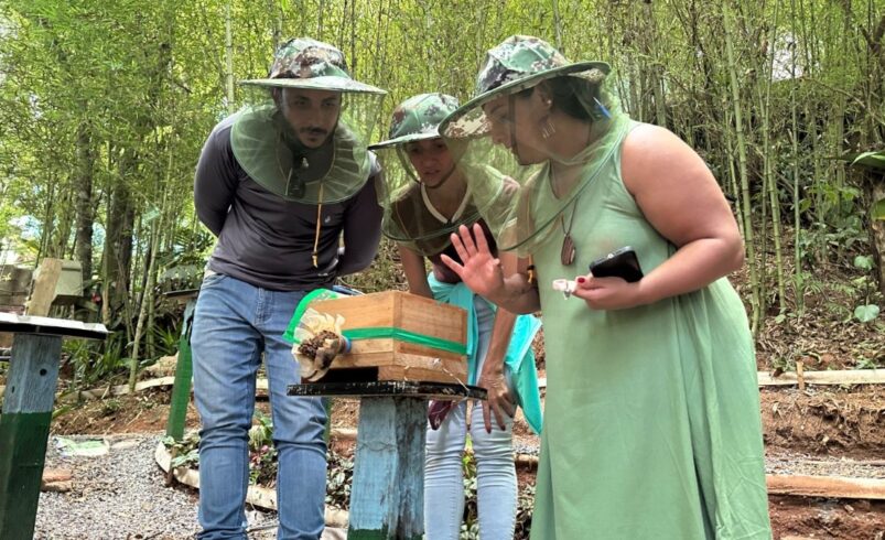 Criadores de abelhas se reúnem em Friburgo durante Encontro