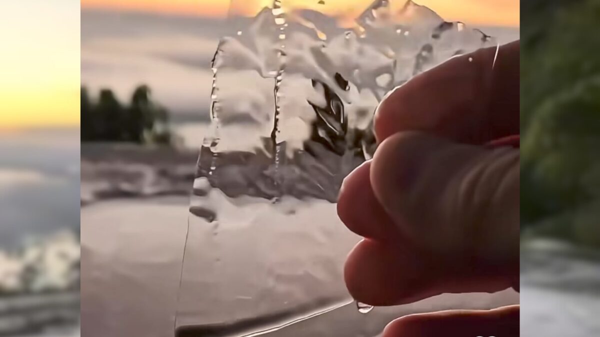 Frio em Friburgo de -2,9°C destaca a cidade como destino de inverno