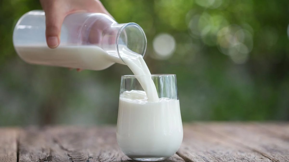 Dia do Leite: Saiba os substitutos saudáveis ao leite de vaca