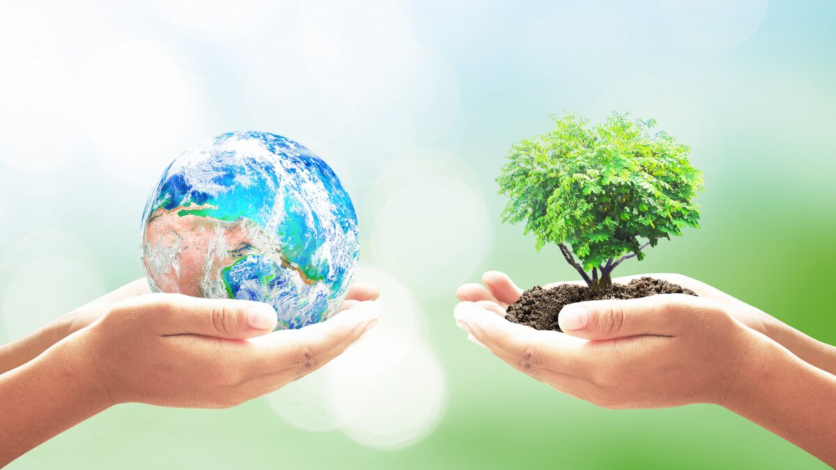 ACIANF promove Mês do Meio Ambiente com foco em ESG