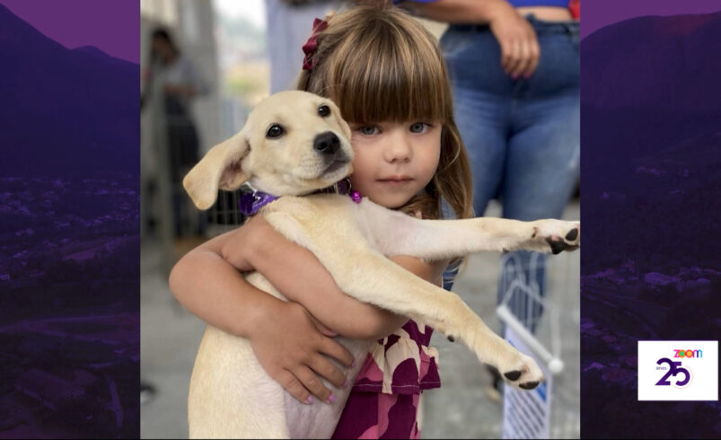 Adoção de cães da Sebea acontece em Friburgo neste sábado, 19