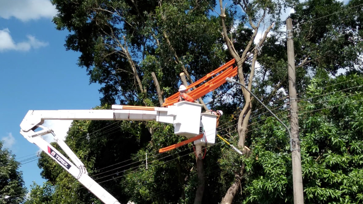 Nova Friburgo lidera cortes de energia por galhos na rede elétrica