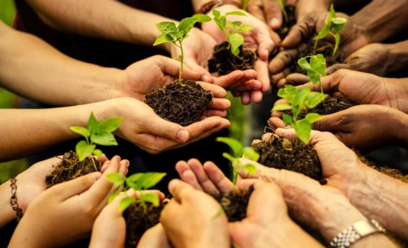educação ambiental