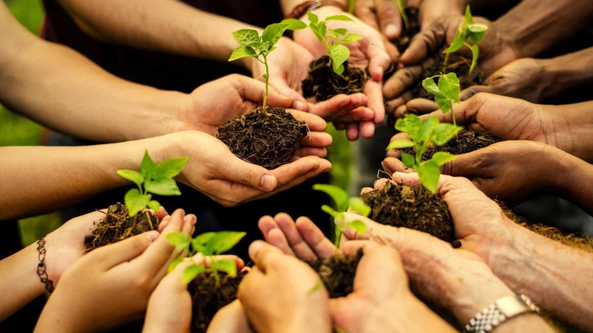 Educação ambiental e reutilização de resíduos ganham destaque em Friburgo